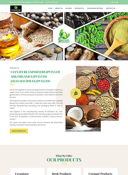 web-design-sri-lanka-export-products-11
