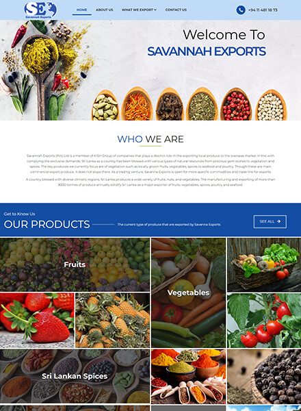 Web-Design-Sri-Lanka-Export-Products-4
